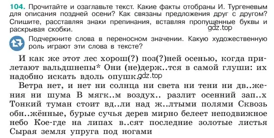 Условие номер 104 (страница 54) гдз по русскому языку 6 класс Баранов, Ладыженская, учебник 1 часть