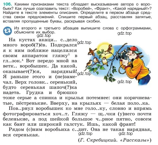 Условие номер 106 (страница 55) гдз по русскому языку 6 класс Баранов, Ладыженская, учебник 1 часть