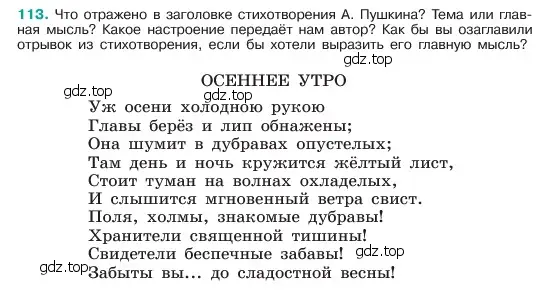 Условие номер 113 (страница 58) гдз по русскому языку 6 класс Баранов, Ладыженская, учебник 1 часть