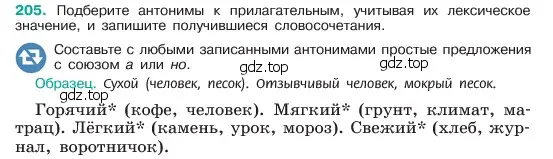 Условие номер 205 (страница 107) гдз по русскому языку 6 класс Баранов, Ладыженская, учебник 1 часть