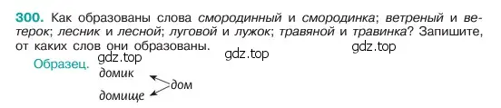 Условие номер 300 (страница 157) гдз по русскому языку 6 класс Баранов, Ладыженская, учебник 1 часть