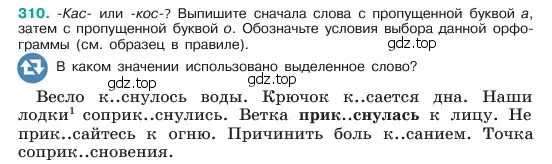 Условие номер 310 (страница 162) гдз по русскому языку 6 класс Баранов, Ладыженская, учебник 1 часть