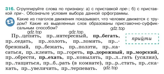 Условие номер 316 (страница 165) гдз по русскому языку 6 класс Баранов, Ладыженская, учебник 1 часть