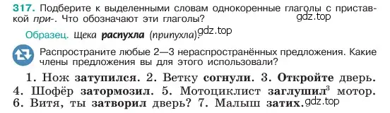 Условие номер 317 (страница 166) гдз по русскому языку 6 класс Баранов, Ладыженская, учебник 1 часть