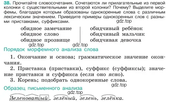 Условие номер 38 (страница 19) гдз по русскому языку 6 класс Баранов, Ладыженская, учебник 1 часть