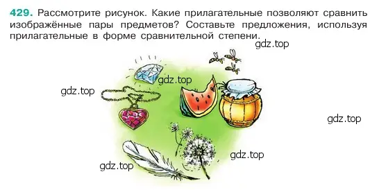 Условие номер 429 (страница 15) гдз по русскому языку 6 класс Баранов, Ладыженская, учебник 2 часть