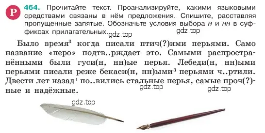 Условие номер 464 (страница 33) гдз по русскому языку 6 класс Баранов, Ладыженская, учебник 2 часть