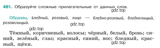 Условие номер 481 (страница 40) гдз по русскому языку 6 класс Баранов, Ладыженская, учебник 2 часть