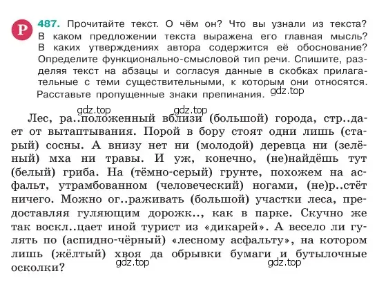 Условие номер 487 (страница 43) гдз по русскому языку 6 класс Баранов, Ладыженская, учебник 2 часть