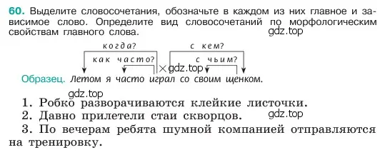 Условие номер 60 (страница 30) гдз по русскому языку 6 класс Баранов, Ладыженская, учебник 1 часть