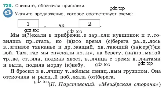 Условие номер 729 (страница 165) гдз по русскому языку 6 класс Баранов, Ладыженская, учебник 2 часть