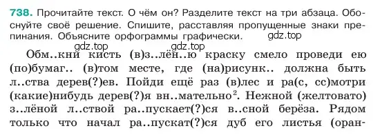 Условие номер 738 (страница 167) гдз по русскому языку 6 класс Баранов, Ладыженская, учебник 2 часть