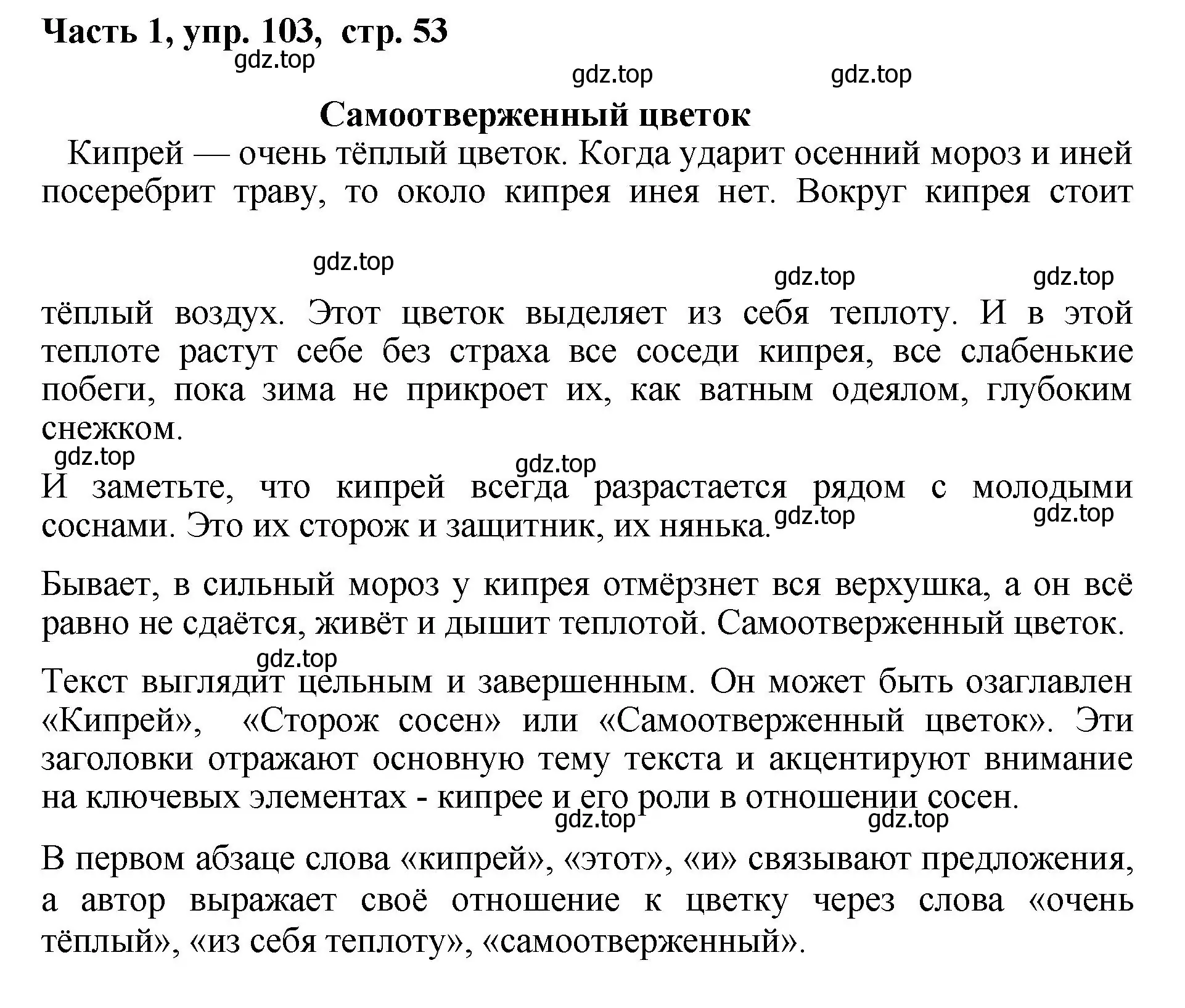 Решение номер 103 (страница 53) гдз по русскому языку 6 класс Баранов, Ладыженская, учебник 1 часть