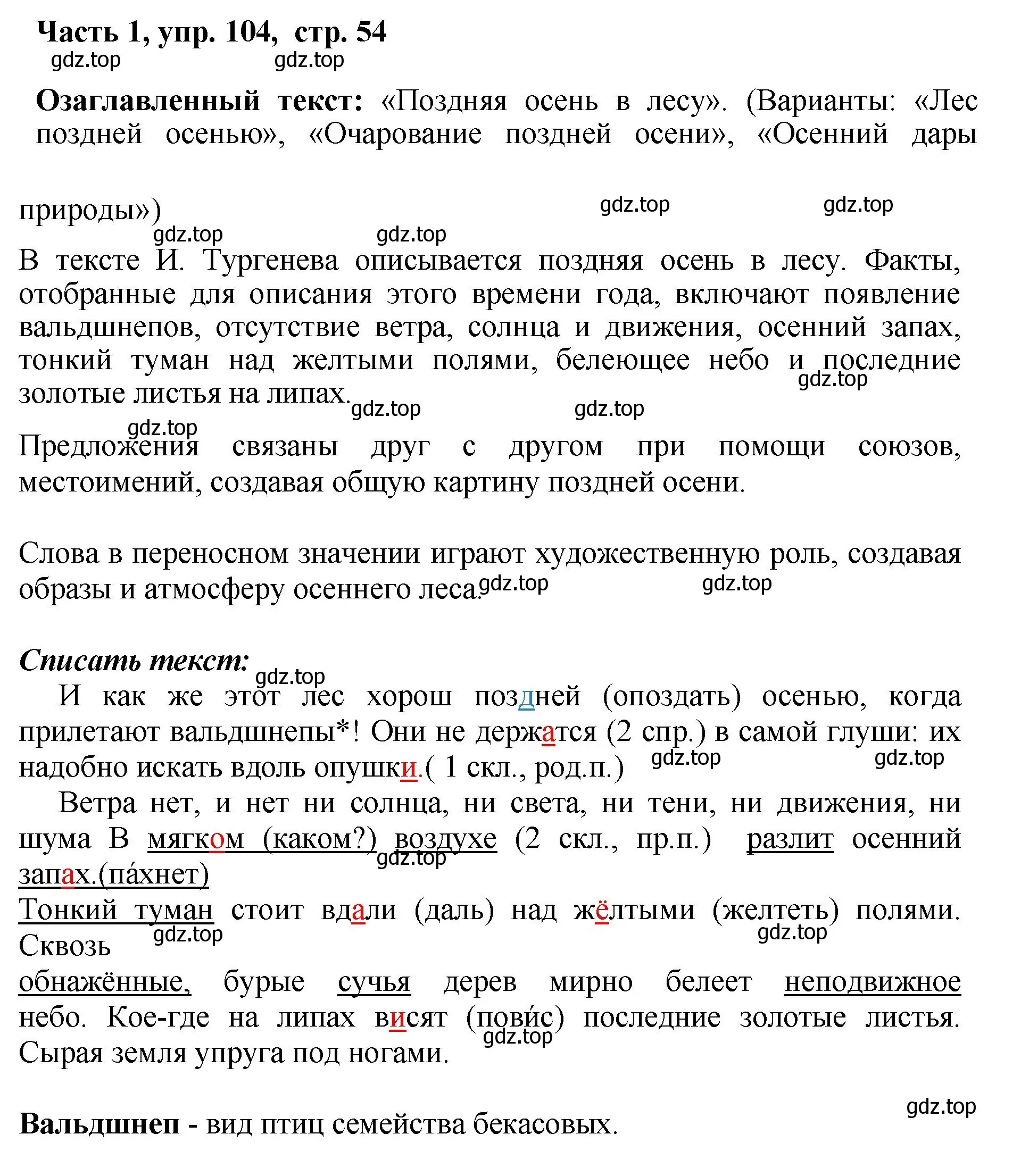 Решение номер 104 (страница 54) гдз по русскому языку 6 класс Баранов, Ладыженская, учебник 1 часть