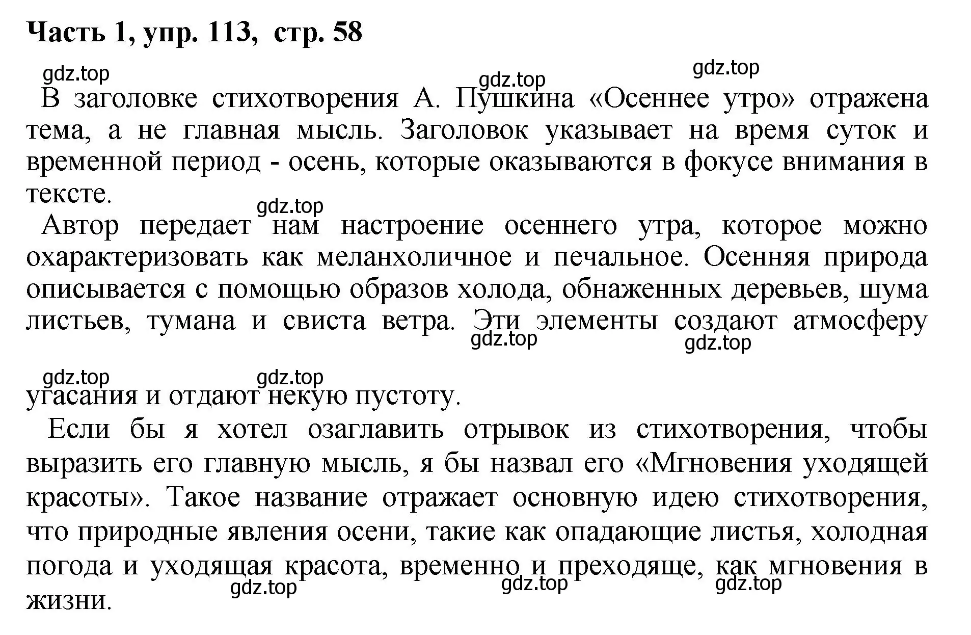 Решение номер 113 (страница 58) гдз по русскому языку 6 класс Баранов, Ладыженская, учебник 1 часть