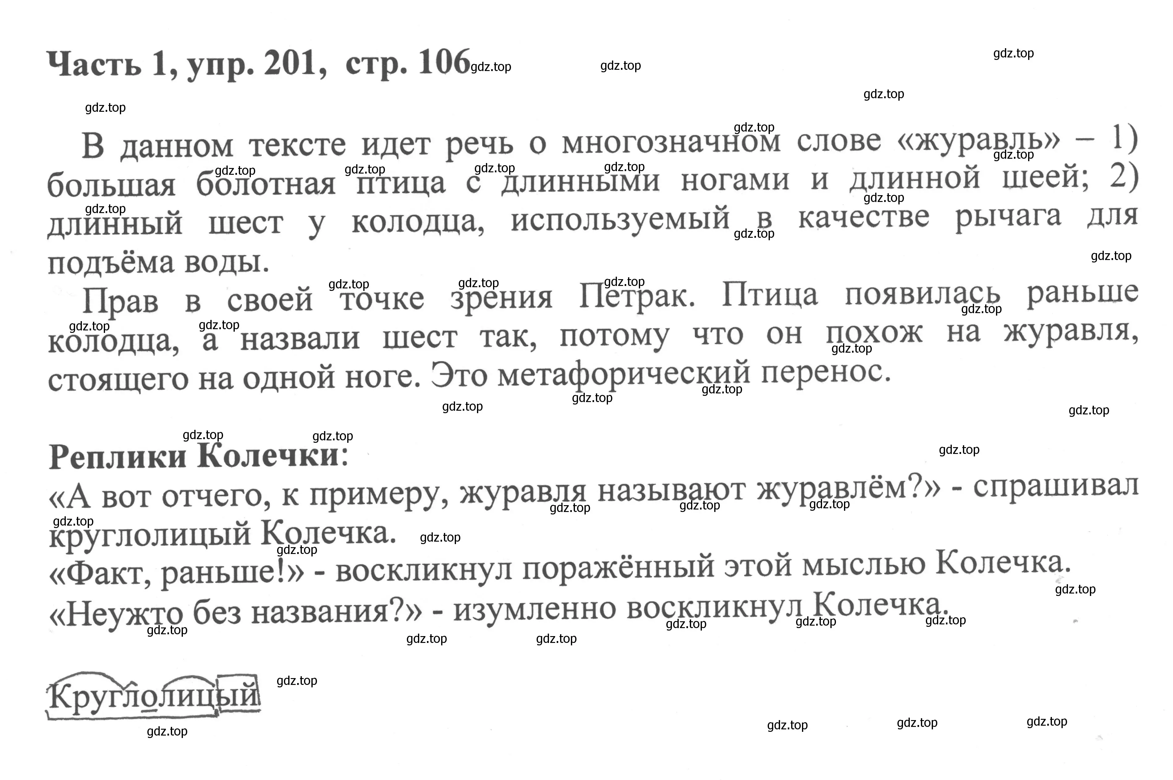 Решение номер 201 (страница 106) гдз по русскому языку 6 класс Баранов, Ладыженская, учебник 1 часть