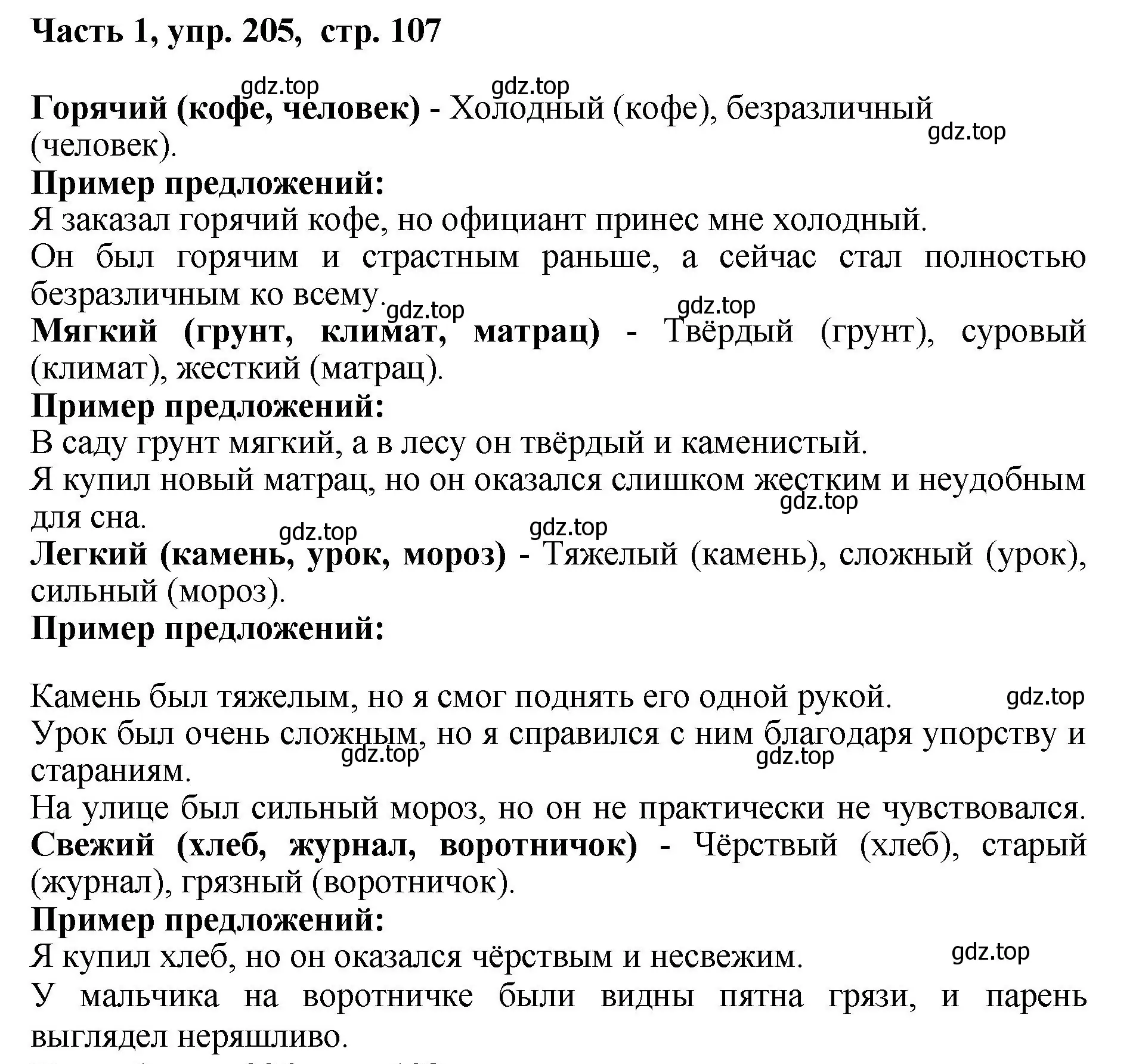 Решение номер 205 (страница 107) гдз по русскому языку 6 класс Баранов, Ладыженская, учебник 1 часть