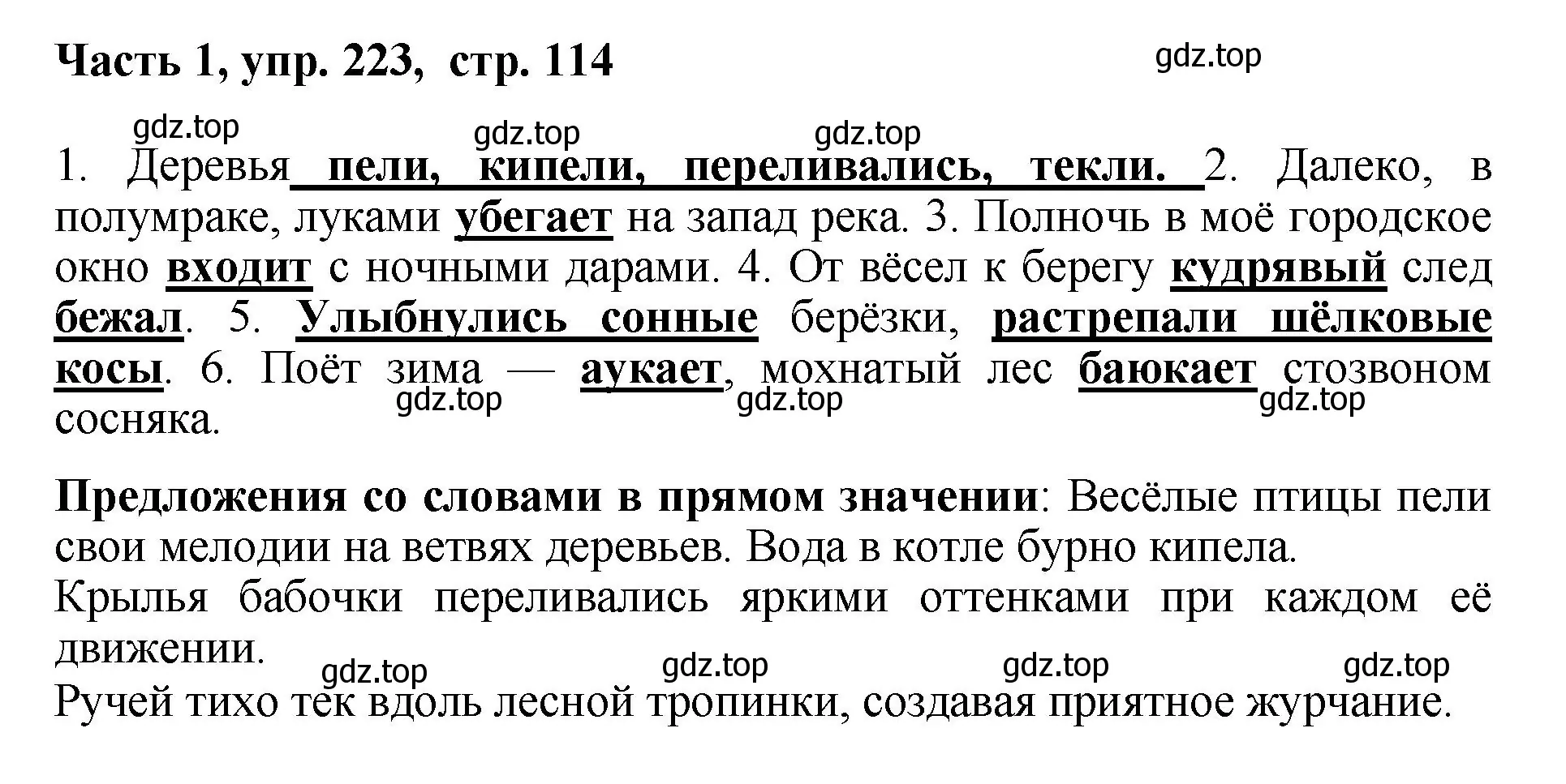 Решение номер 223 (страница 114) гдз по русскому языку 6 класс Баранов, Ладыженская, учебник 1 часть