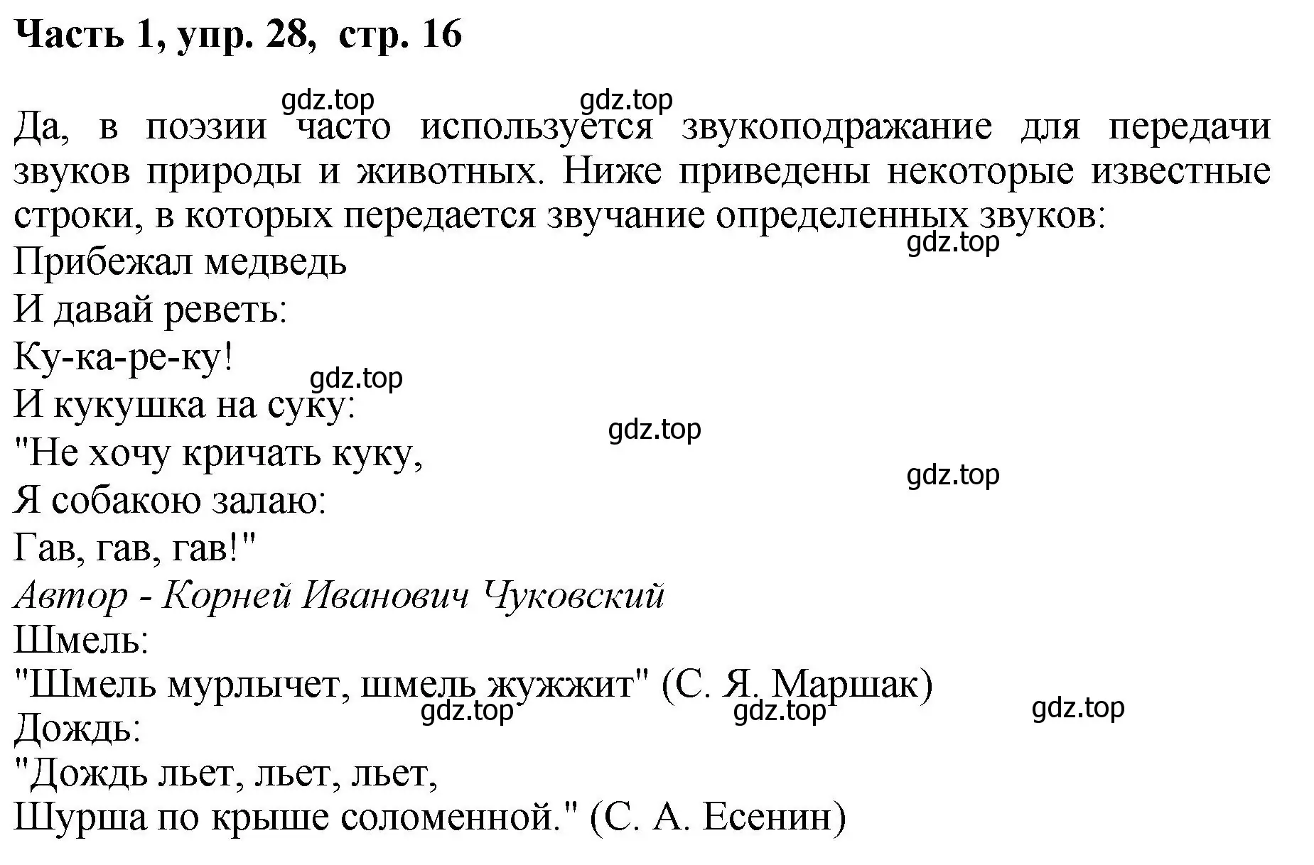 Решение номер 28 (страница 16) гдз по русскому языку 6 класс Баранов, Ладыженская, учебник 1 часть