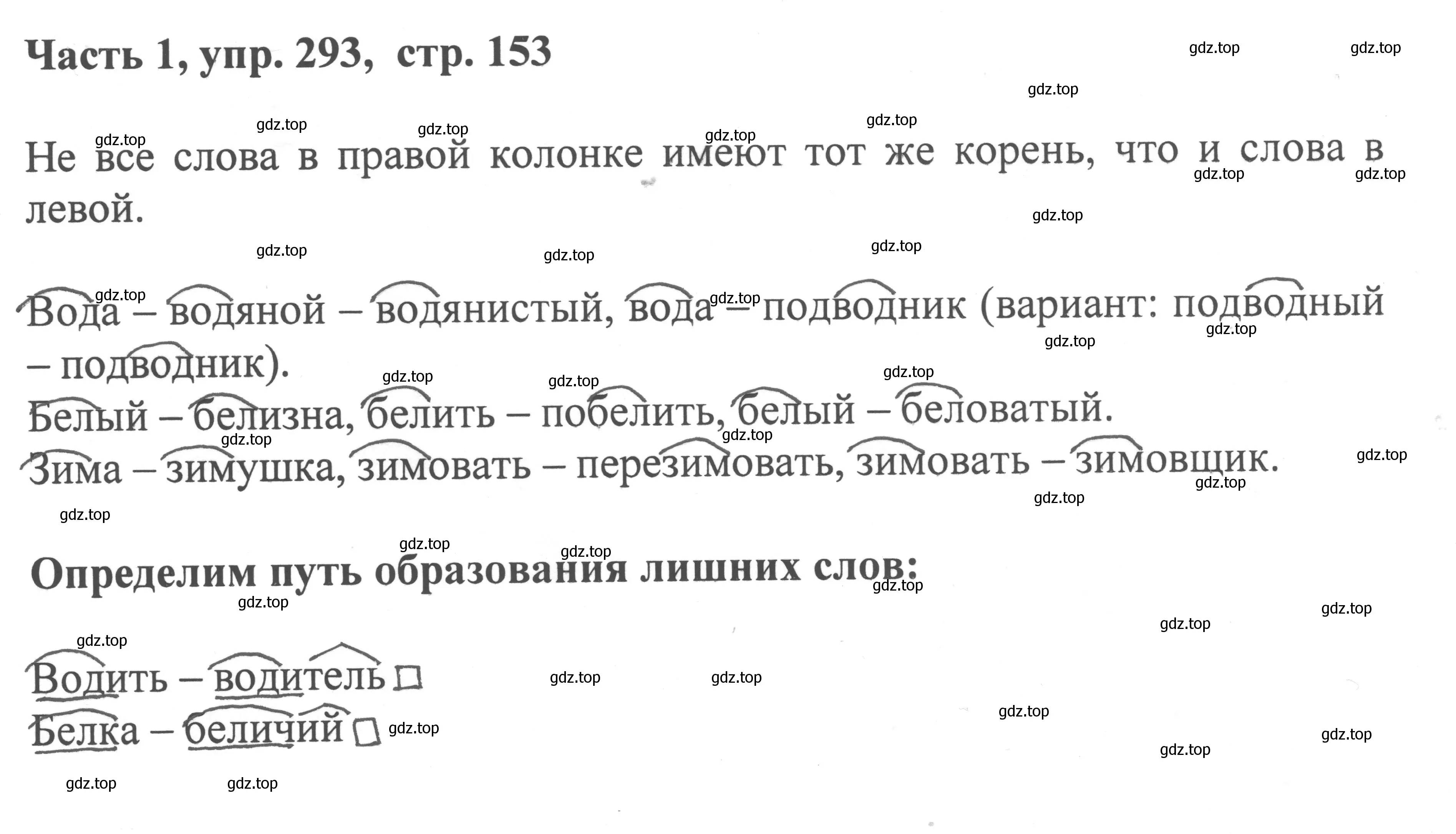 Решение номер 293 (страница 153) гдз по русскому языку 6 класс Баранов, Ладыженская, учебник 1 часть