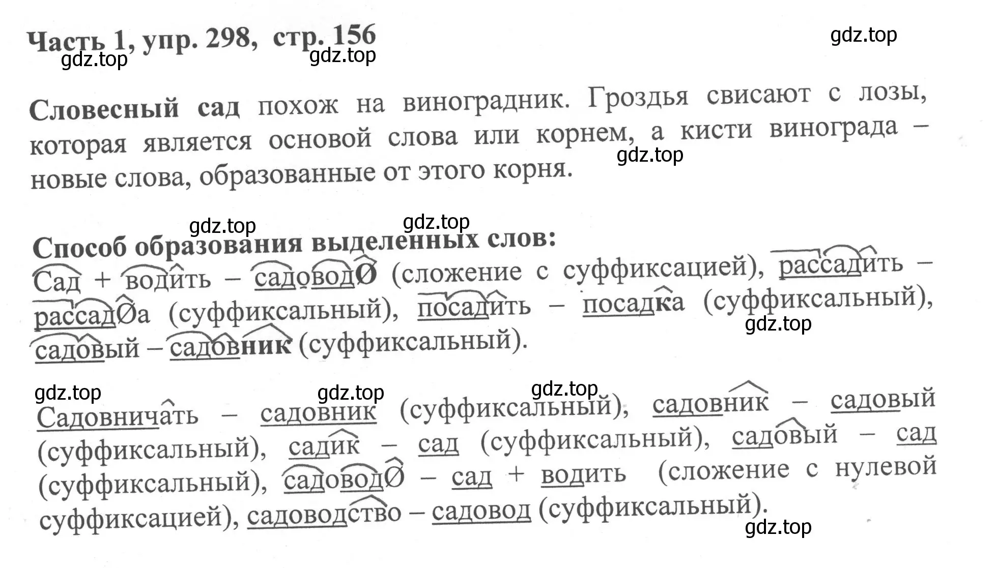 Решение номер 298 (страница 156) гдз по русскому языку 6 класс Баранов, Ладыженская, учебник 1 часть