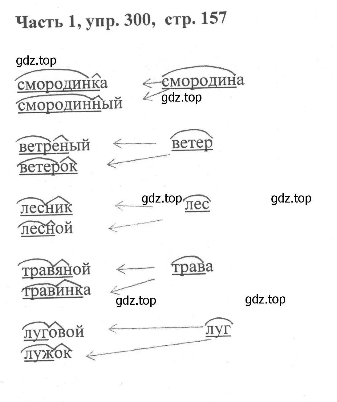 Решение номер 300 (страница 157) гдз по русскому языку 6 класс Баранов, Ладыженская, учебник 1 часть