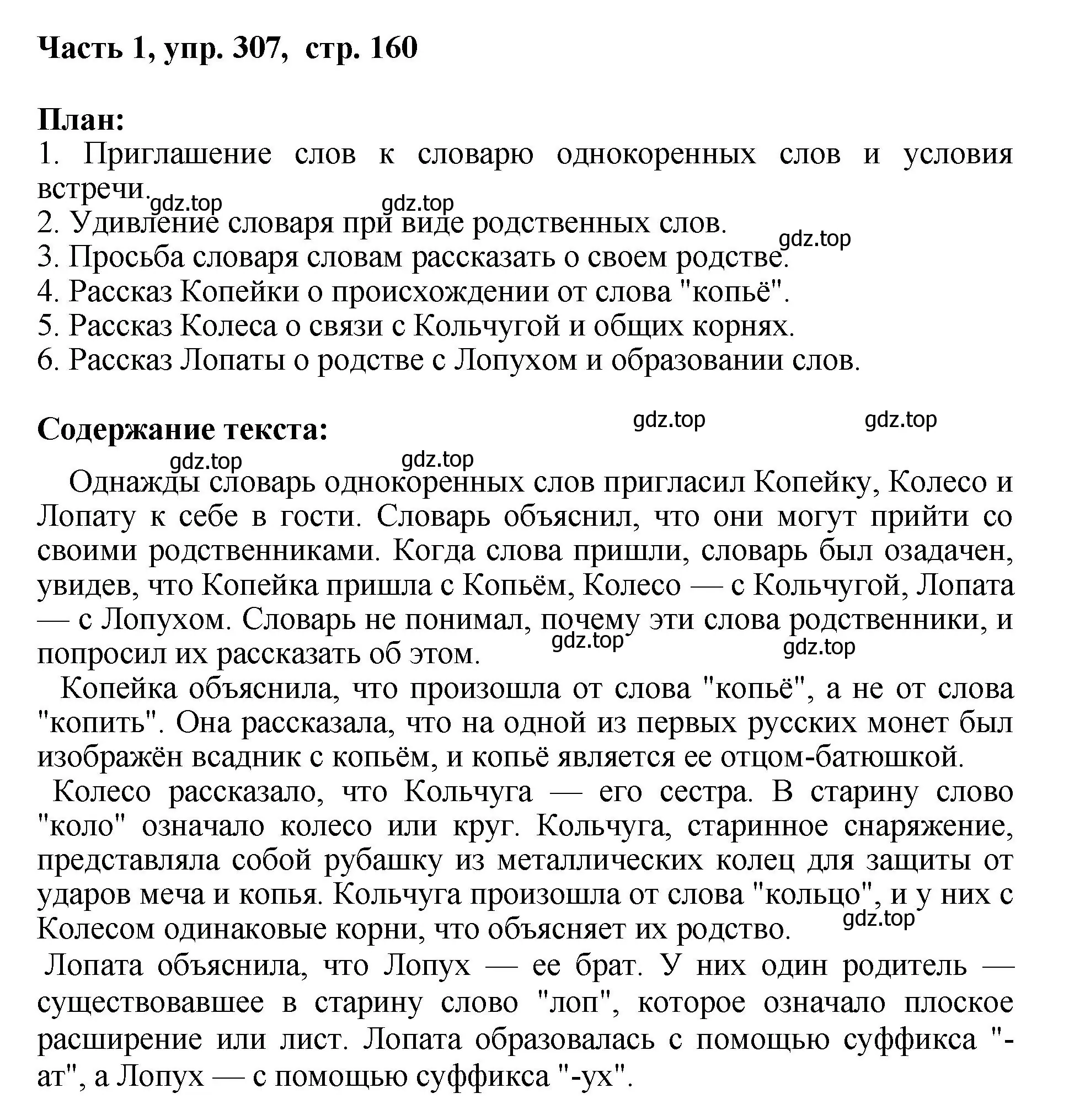 Решение номер 307 (страница 160) гдз по русскому языку 6 класс Баранов, Ладыженская, учебник 1 часть