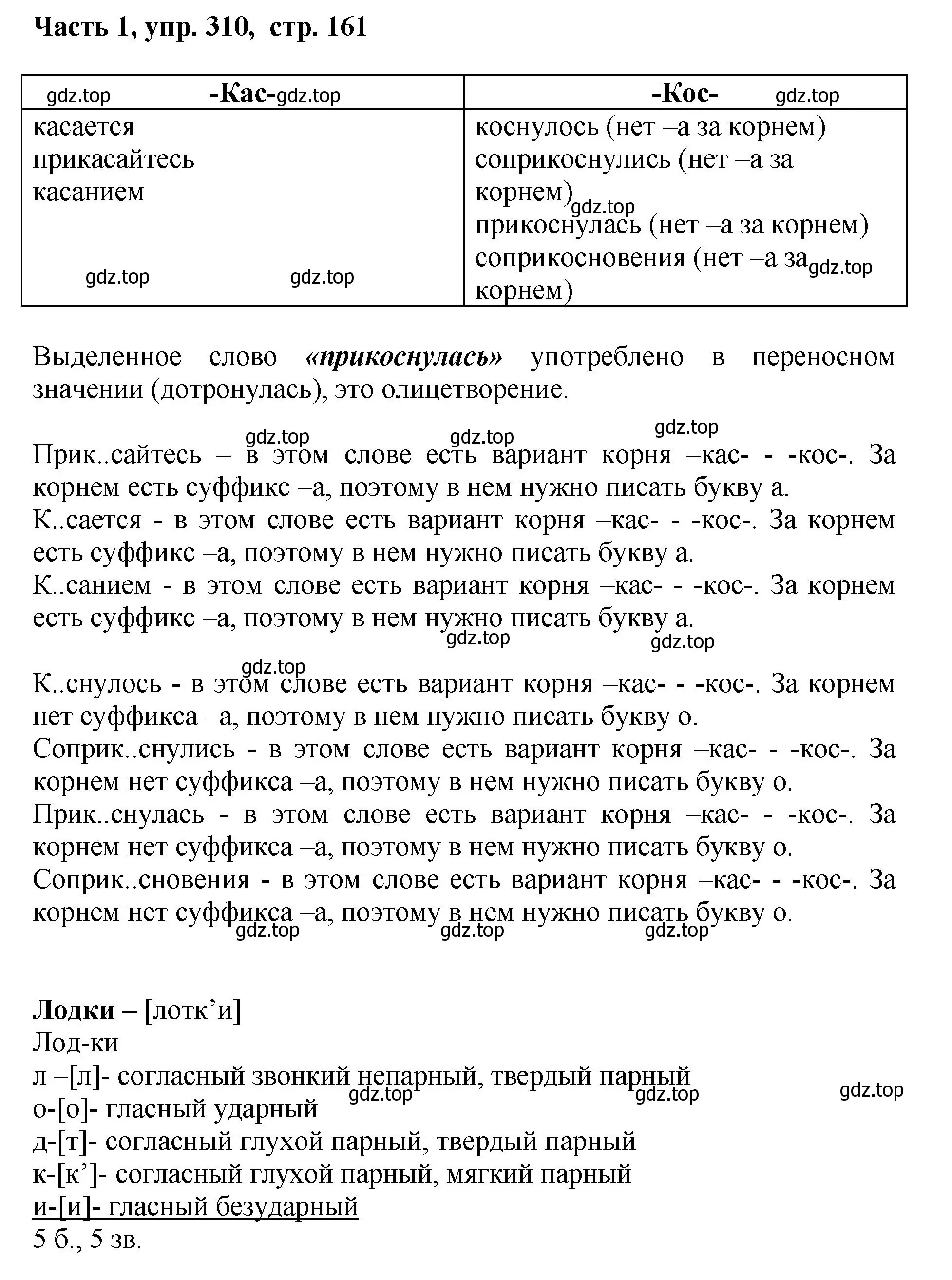 Решение номер 310 (страница 162) гдз по русскому языку 6 класс Баранов, Ладыженская, учебник 1 часть