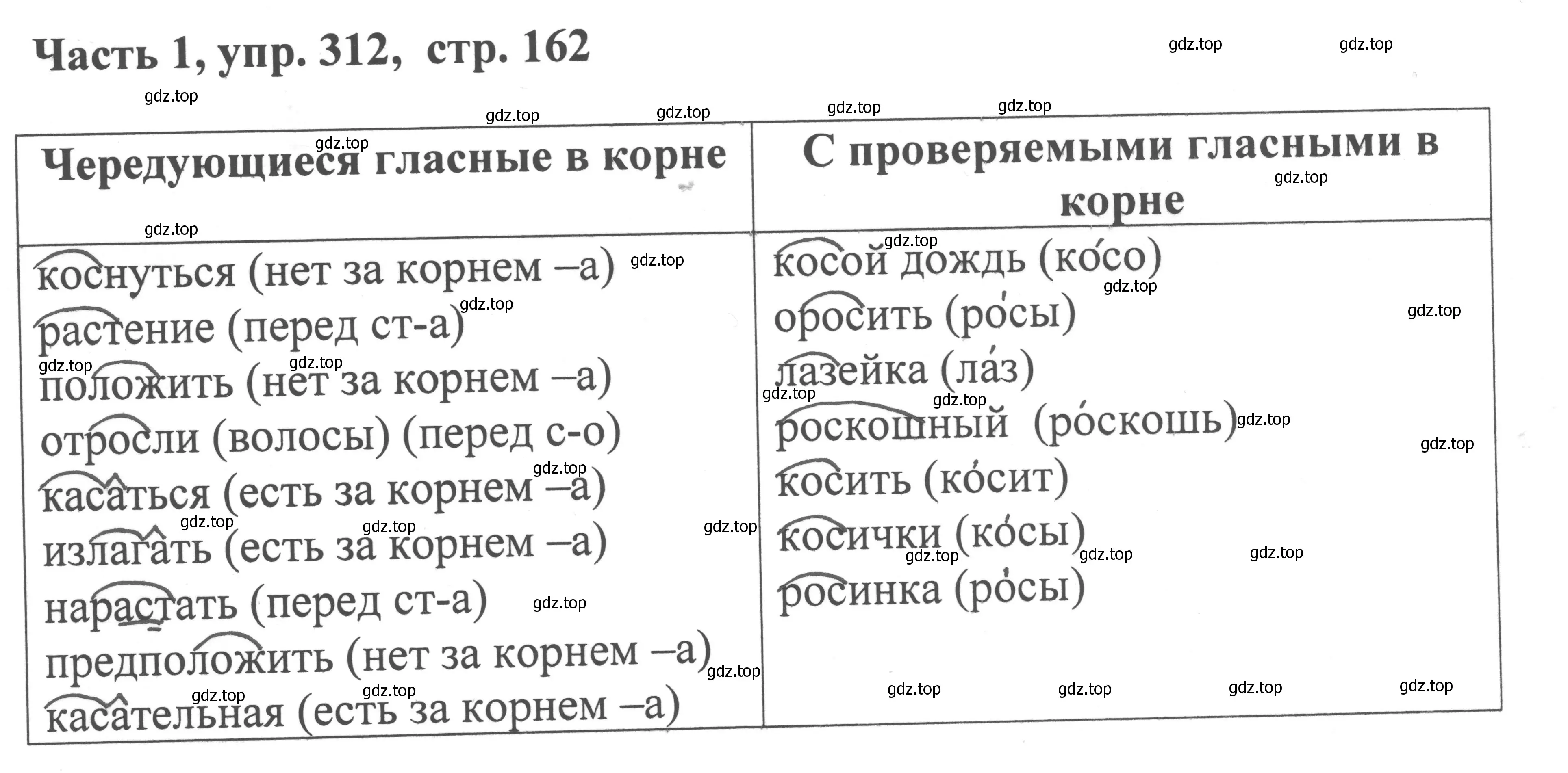 Решение номер 312 (страница 162) гдз по русскому языку 6 класс Баранов, Ладыженская, учебник 1 часть