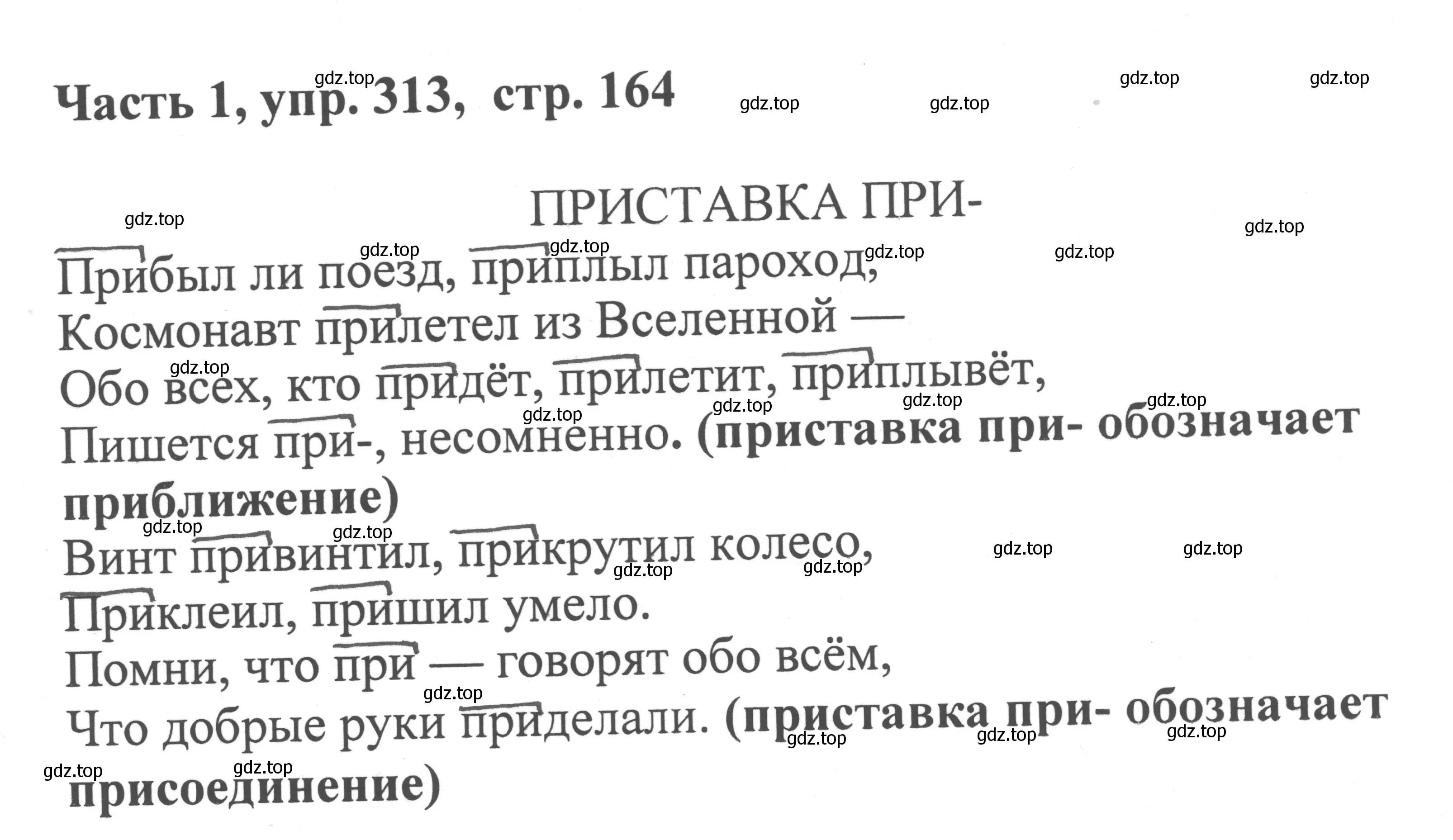 Решение номер 313 (страница 164) гдз по русскому языку 6 класс Баранов, Ладыженская, учебник 1 часть