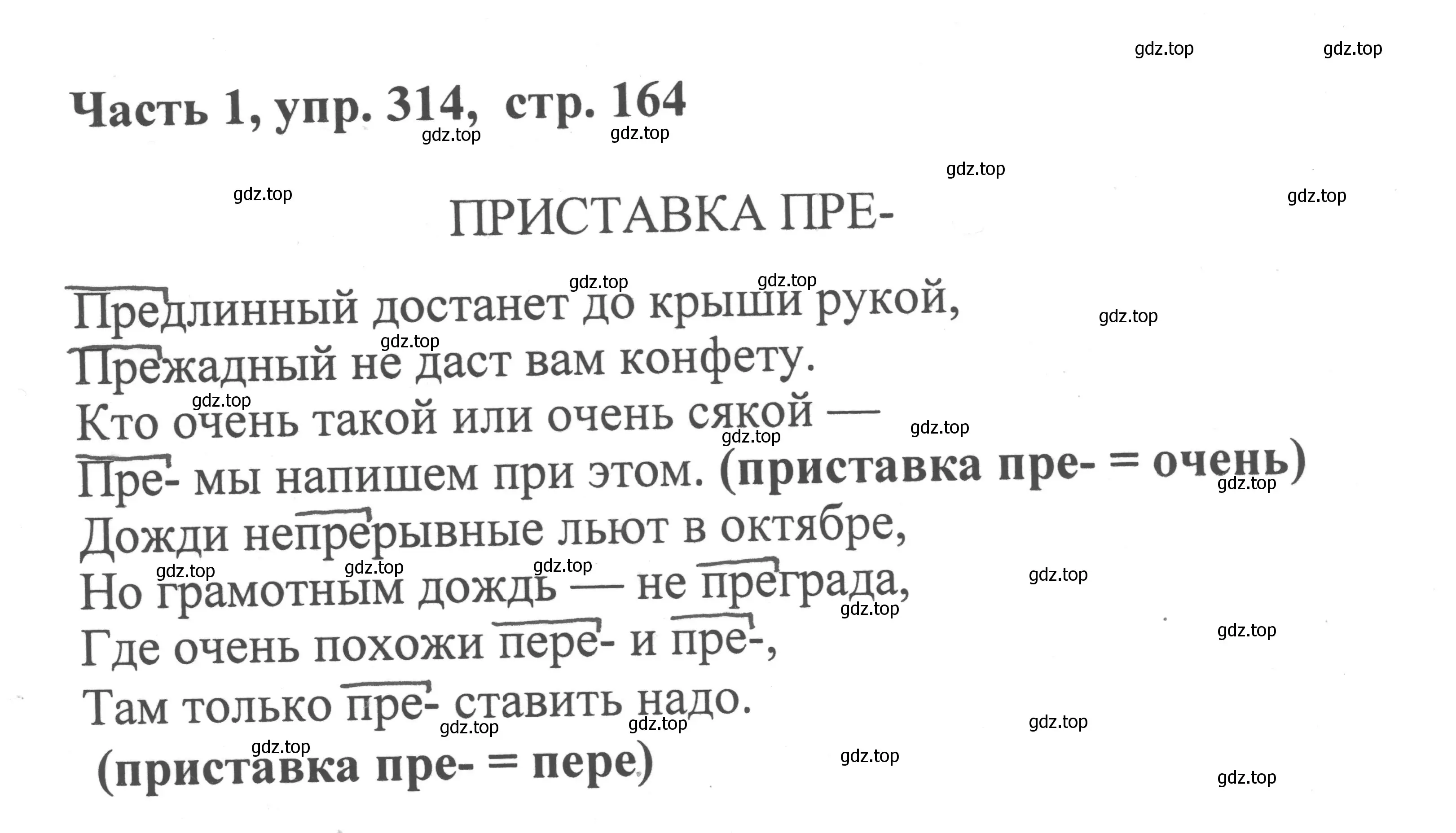 Решение номер 314 (страница 164) гдз по русскому языку 6 класс Баранов, Ладыженская, учебник 1 часть