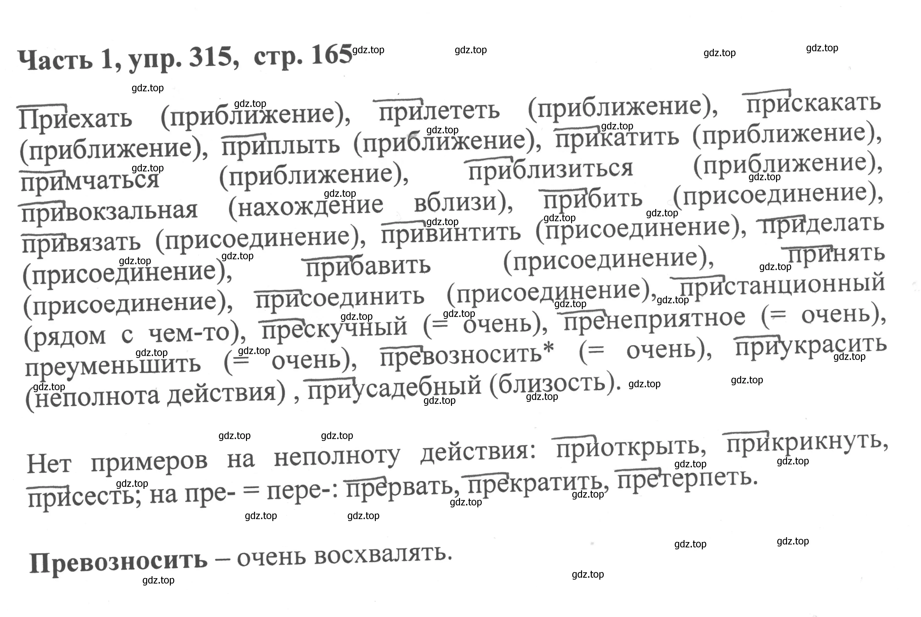 Решение номер 315 (страница 165) гдз по русскому языку 6 класс Баранов, Ладыженская, учебник 1 часть