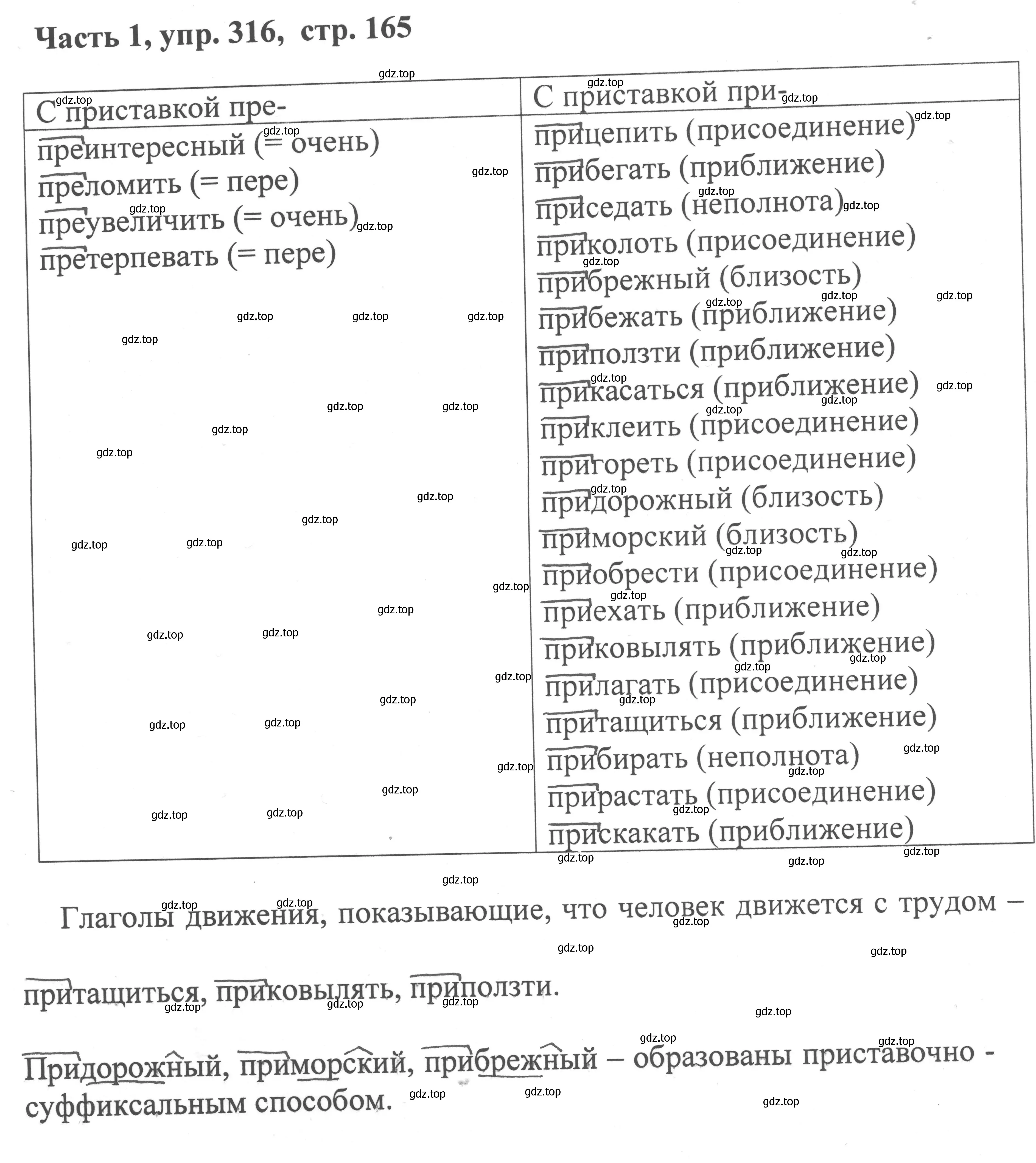 Решение номер 316 (страница 165) гдз по русскому языку 6 класс Баранов, Ладыженская, учебник 1 часть