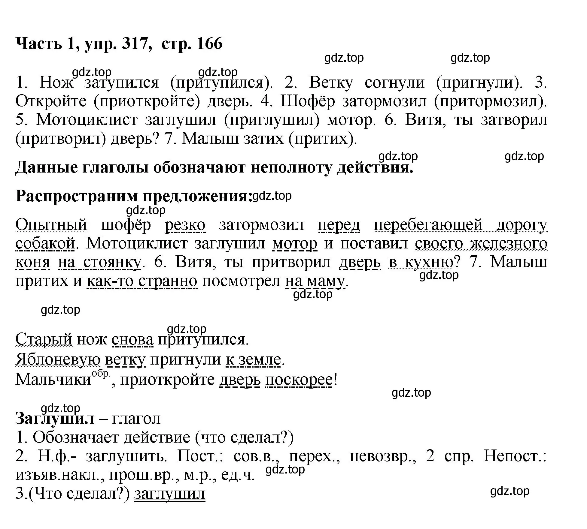 Решение номер 317 (страница 166) гдз по русскому языку 6 класс Баранов, Ладыженская, учебник 1 часть