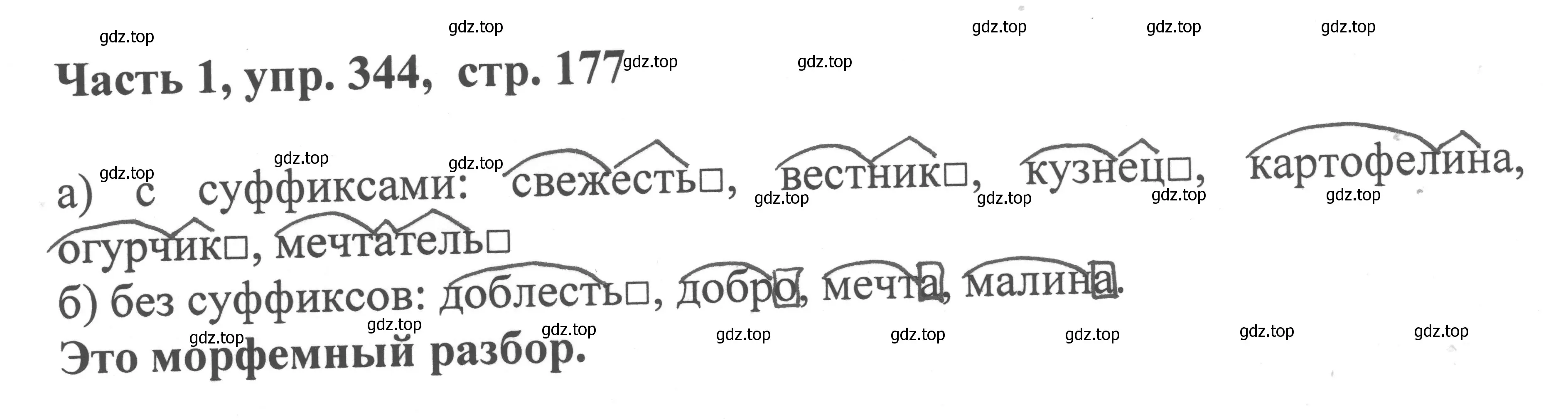 Решение номер 344 (страница 177) гдз по русскому языку 6 класс Баранов, Ладыженская, учебник 1 часть