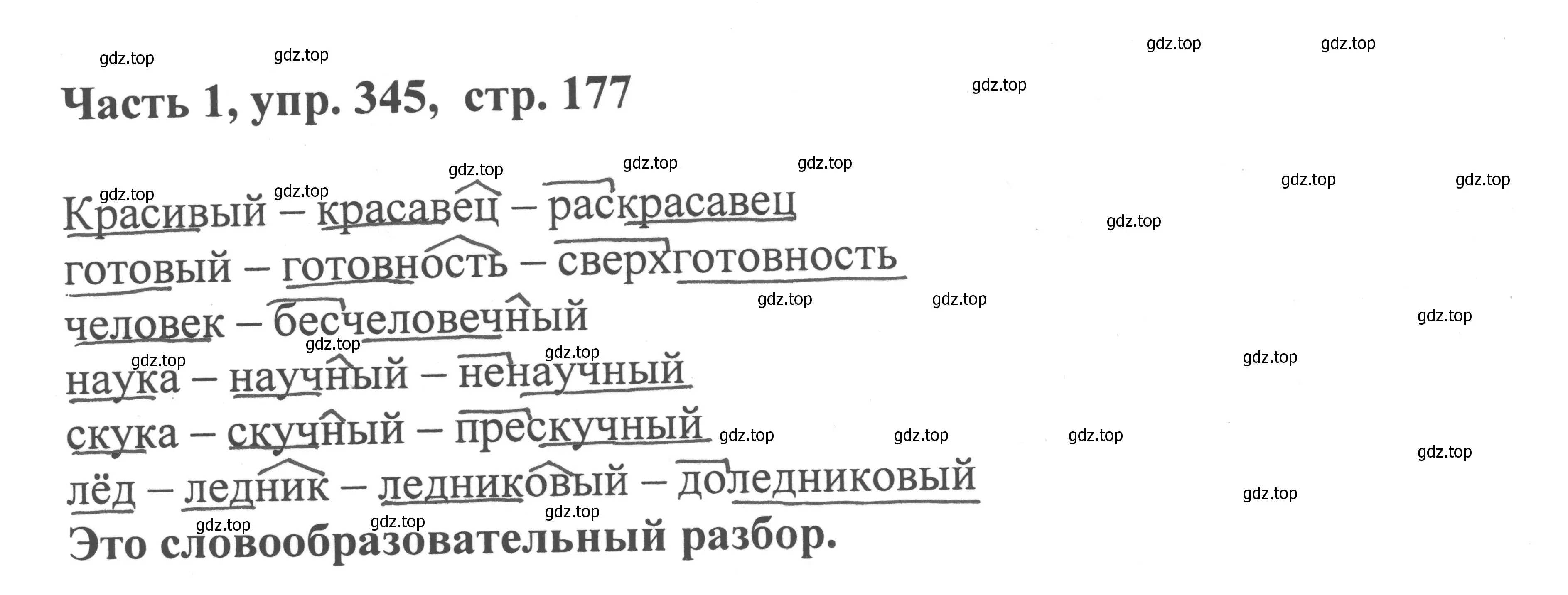 Решение номер 345 (страница 177) гдз по русскому языку 6 класс Баранов, Ладыженская, учебник 1 часть