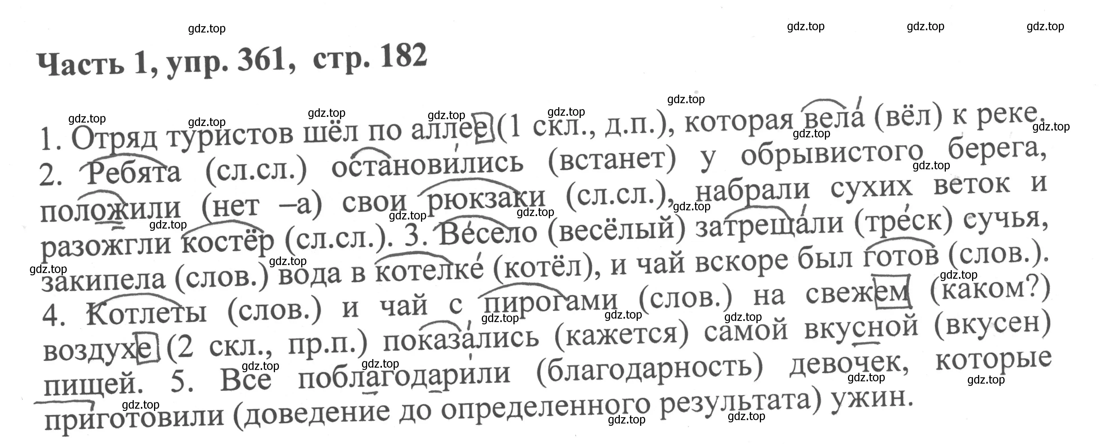 Решение номер 361 (страница 182) гдз по русскому языку 6 класс Баранов, Ладыженская, учебник 1 часть
