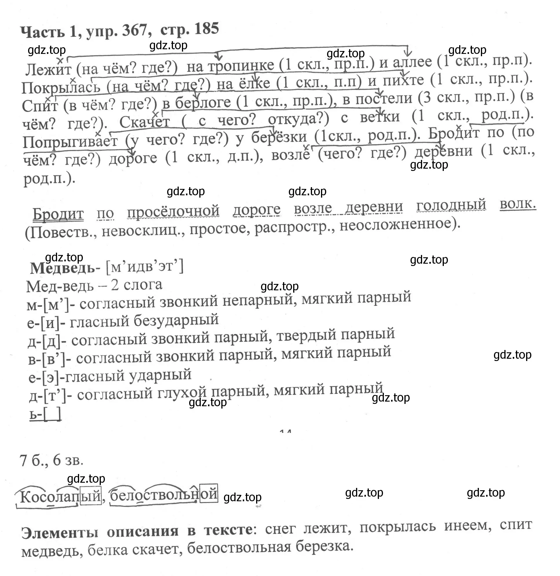 Решение номер 367 (страница 185) гдз по русскому языку 6 класс Баранов, Ладыженская, учебник 1 часть