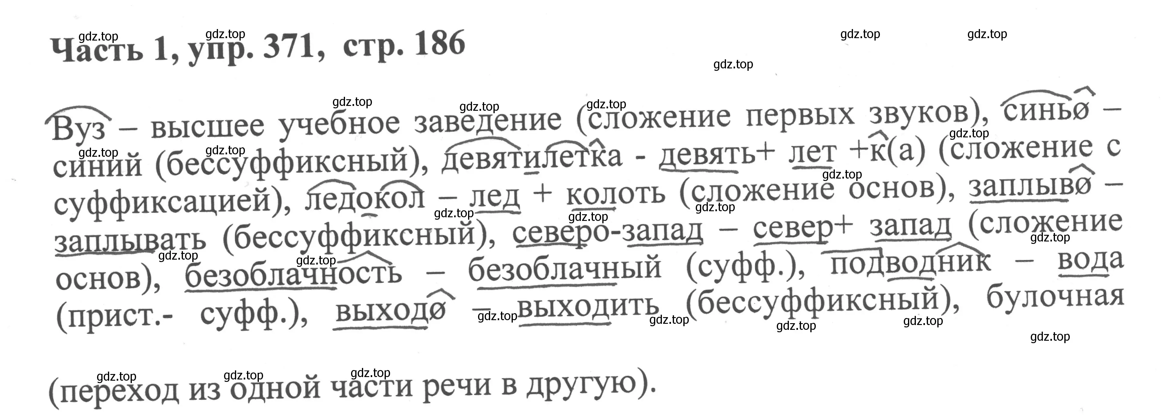 Решение номер 371 (страница 186) гдз по русскому языку 6 класс Баранов, Ладыженская, учебник 1 часть