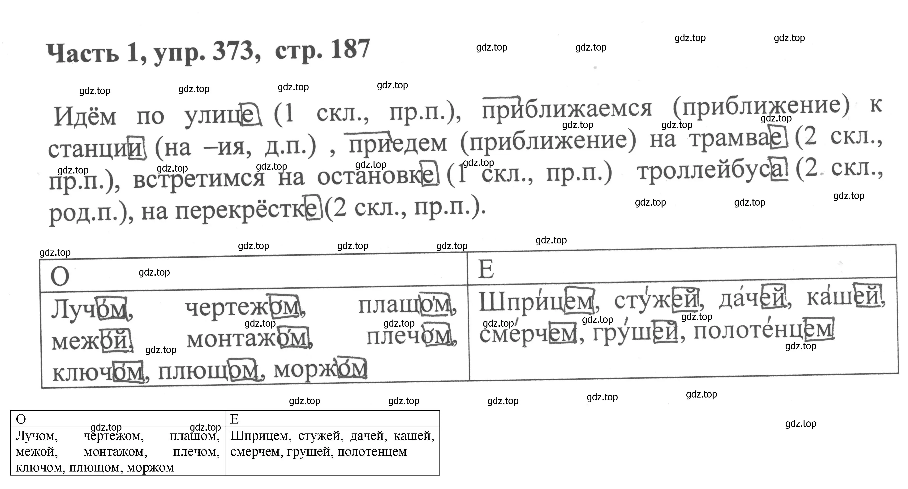 Решение номер 373 (страница 187) гдз по русскому языку 6 класс Баранов, Ладыженская, учебник 1 часть