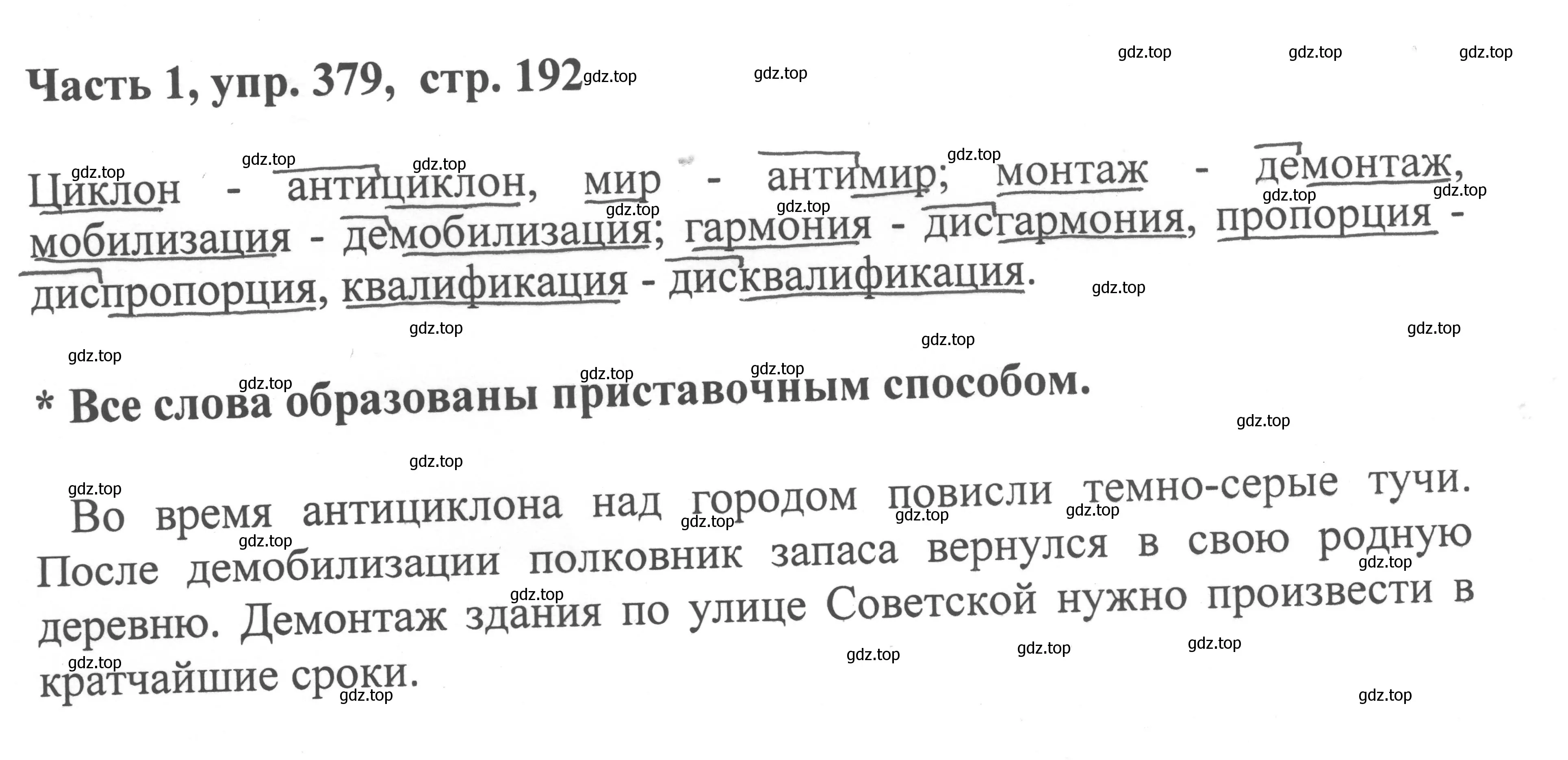 Решение номер 379 (страница 192) гдз по русскому языку 6 класс Баранов, Ладыженская, учебник 1 часть