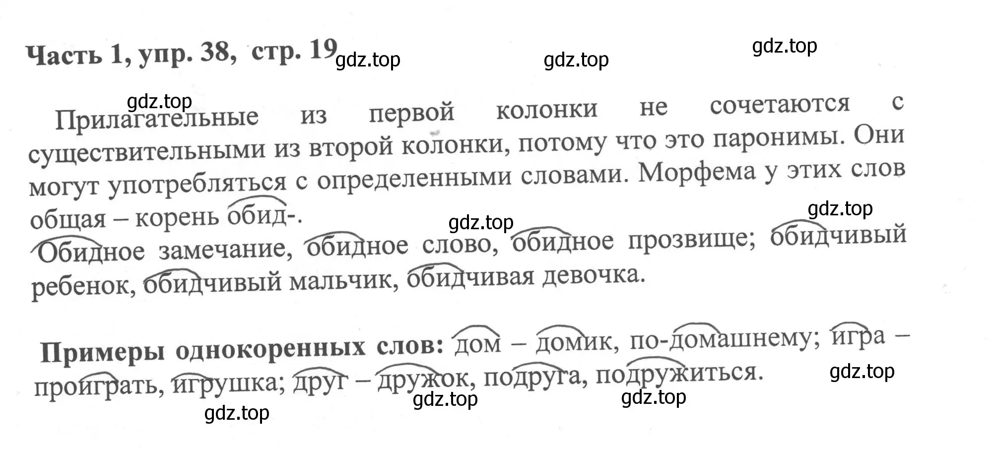 Решение номер 38 (страница 19) гдз по русскому языку 6 класс Баранов, Ладыженская, учебник 1 часть