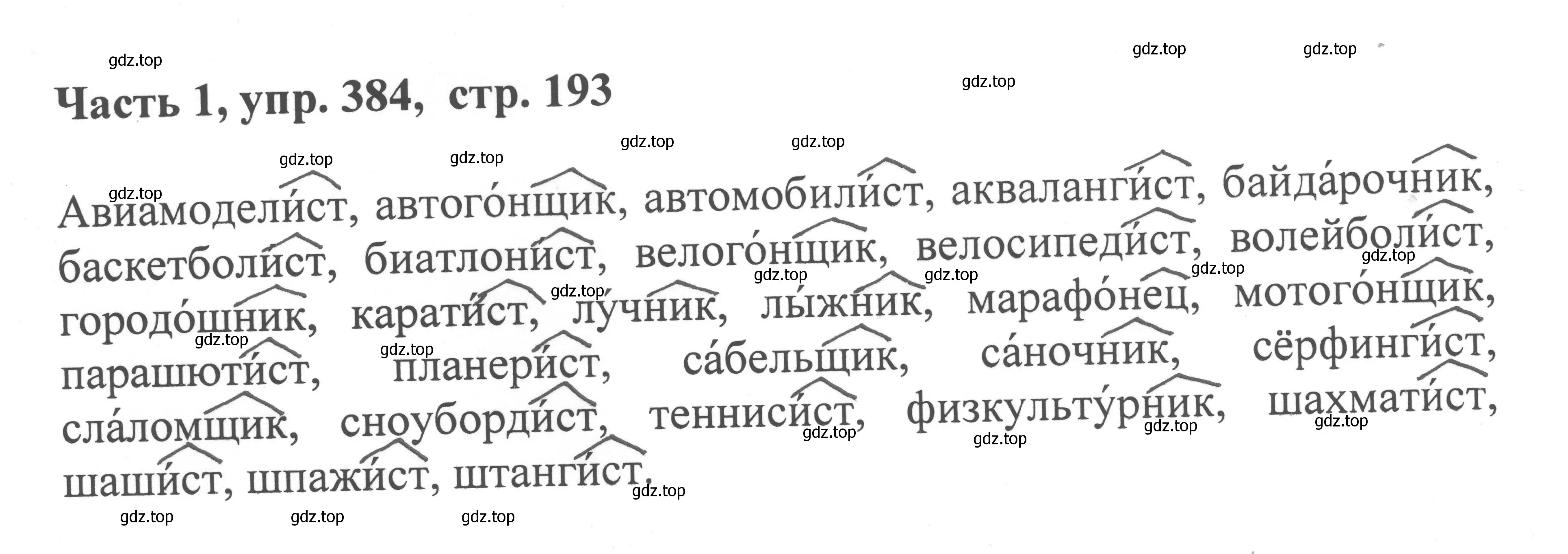 Решение номер 384 (страница 193) гдз по русскому языку 6 класс Баранов, Ладыженская, учебник 1 часть