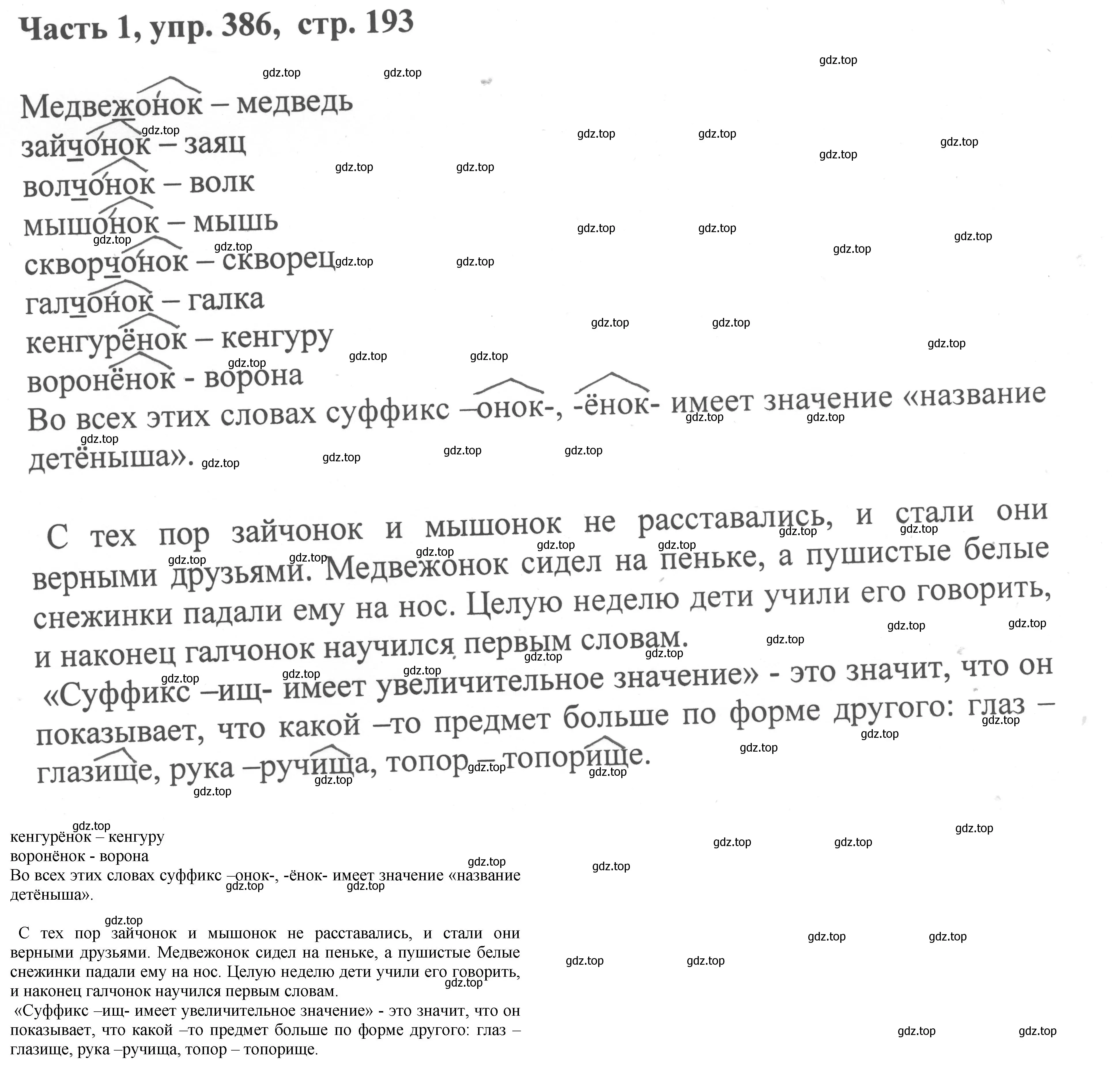Решение номер 386 (страница 193) гдз по русскому языку 6 класс Баранов, Ладыженская, учебник 1 часть