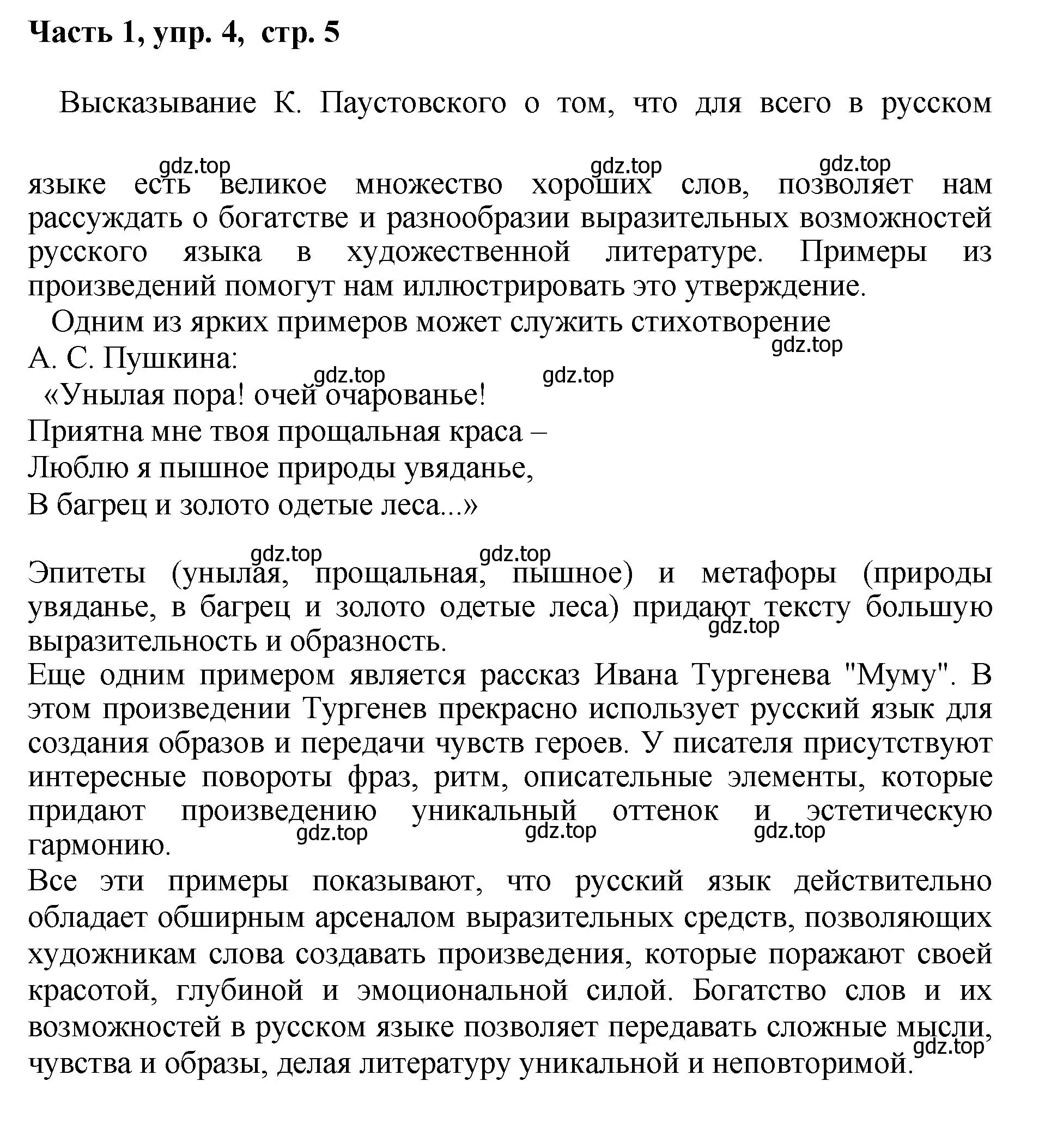 Решение номер 4 (страница 5) гдз по русскому языку 6 класс Баранов, Ладыженская, учебник 1 часть