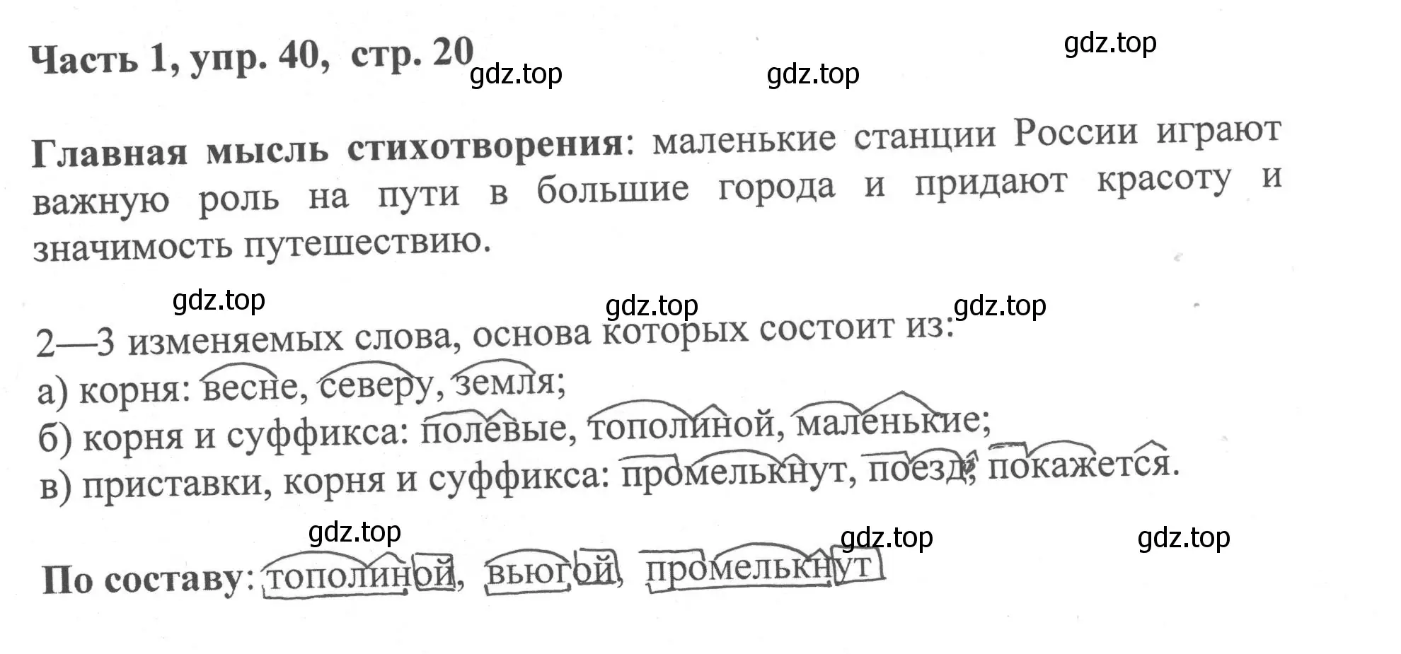 Решение номер 40 (страница 20) гдз по русскому языку 6 класс Баранов, Ладыженская, учебник 1 часть