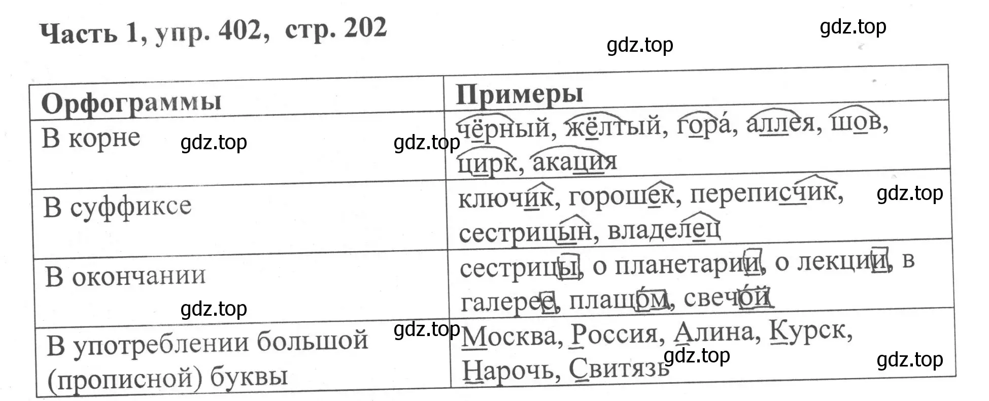 Решение номер 402 (страница 202) гдз по русскому языку 6 класс Баранов, Ладыженская, учебник 1 часть