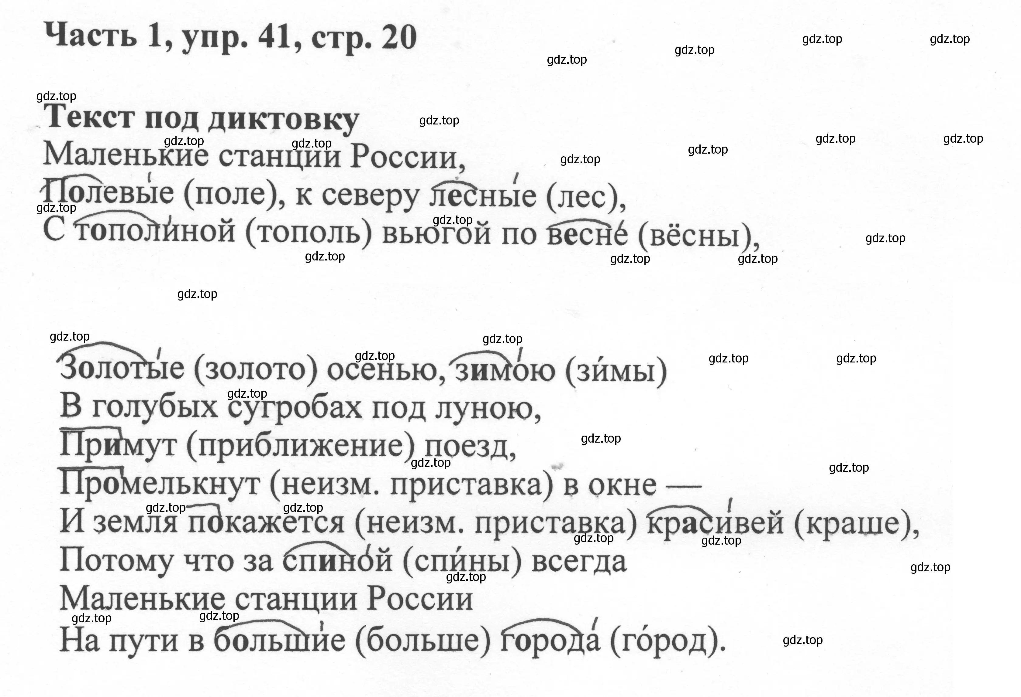 Решение номер 41 (страница 20) гдз по русскому языку 6 класс Баранов, Ладыженская, учебник 1 часть