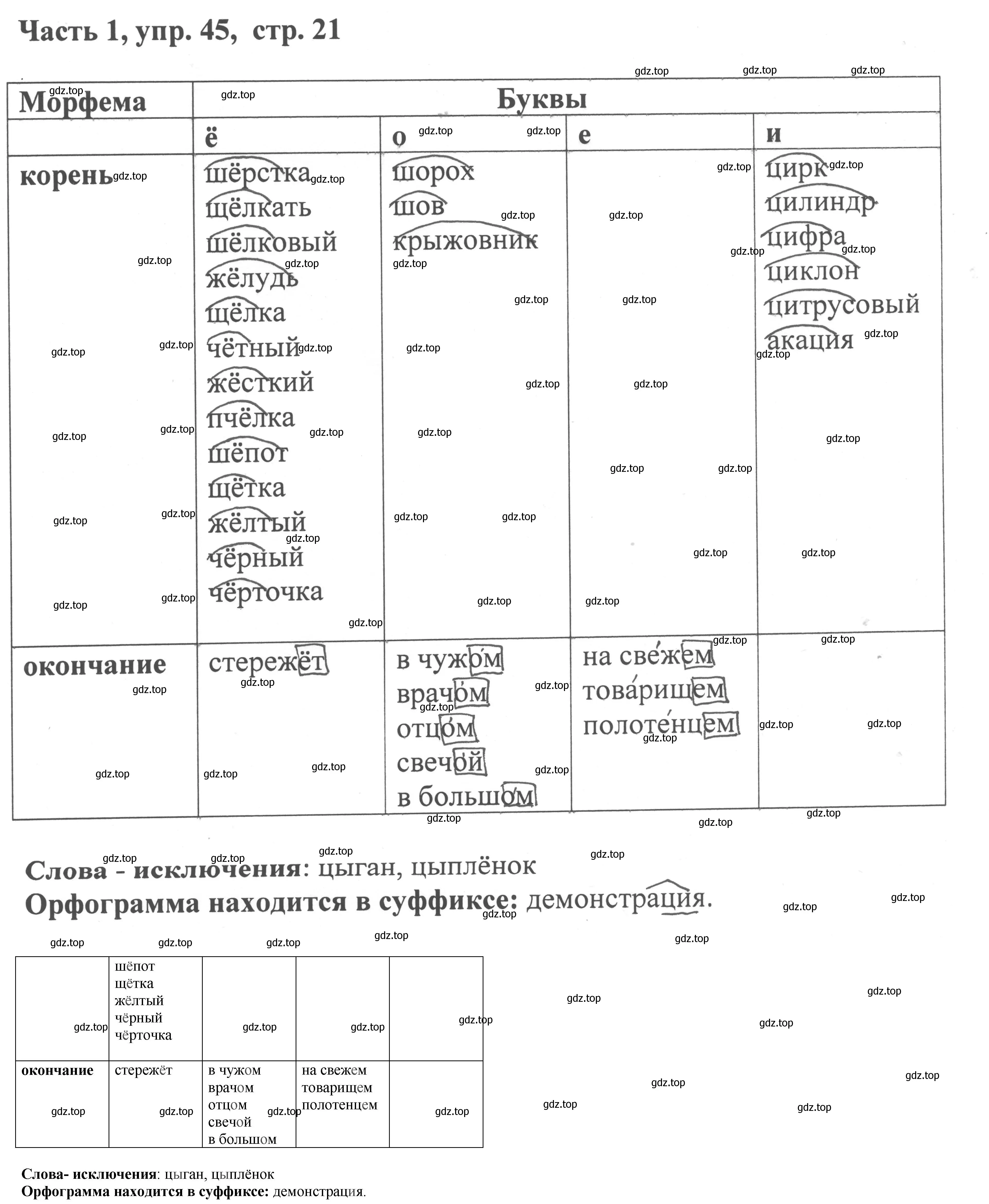 Решение номер 45 (страница 21) гдз по русскому языку 6 класс Баранов, Ладыженская, учебник 1 часть