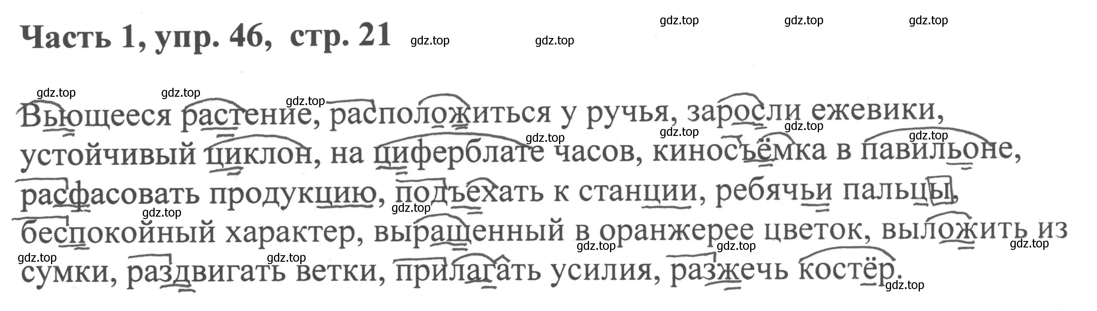 Решение номер 46 (страница 21) гдз по русскому языку 6 класс Баранов, Ладыженская, учебник 1 часть